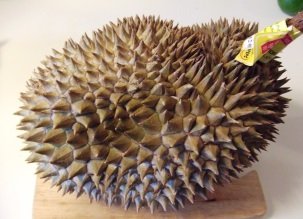 Durian : le fruit exotique qui pue - Tout savoir en 2 minutes