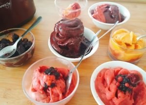 glace purs fruits