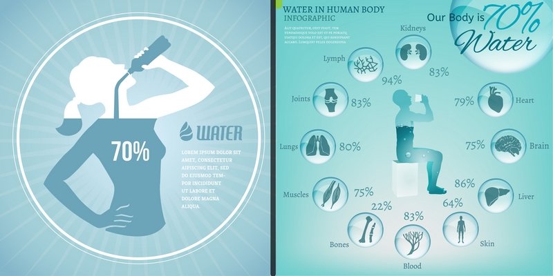 Hydratation- eau corporelle